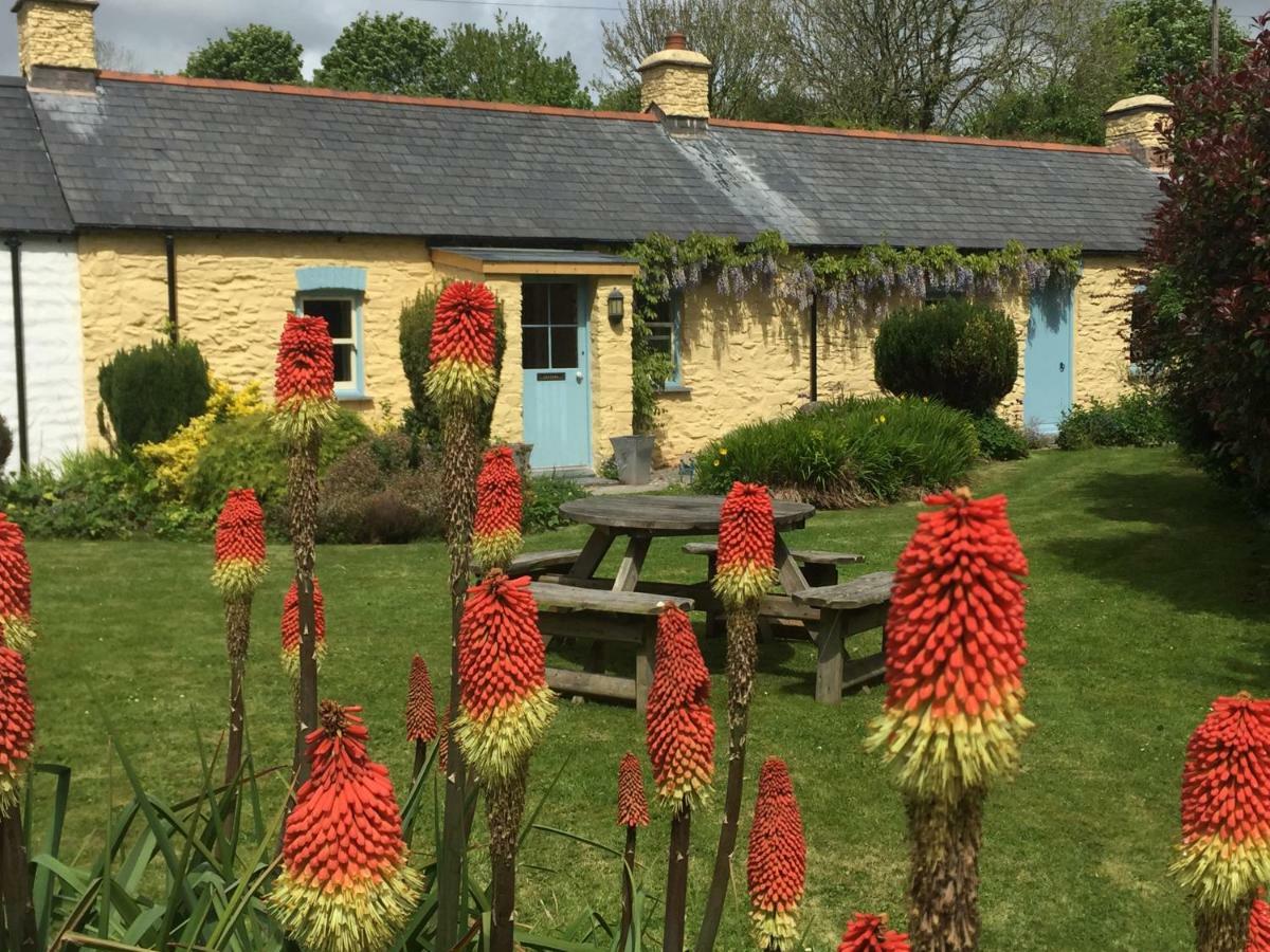 Charming Welsh Cottage Johnston Esterno foto